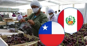 SNA alerta sobre pérdida de competitividad agrícola ante avance de Perú