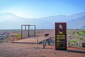 Andes Iron desiste de recurso ante la Corte Suprema por Minera Dominga