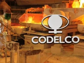 Codelco denuncia posible duplicidad en su producción de 2024 y 2025 en Ministro Hales y Salvador